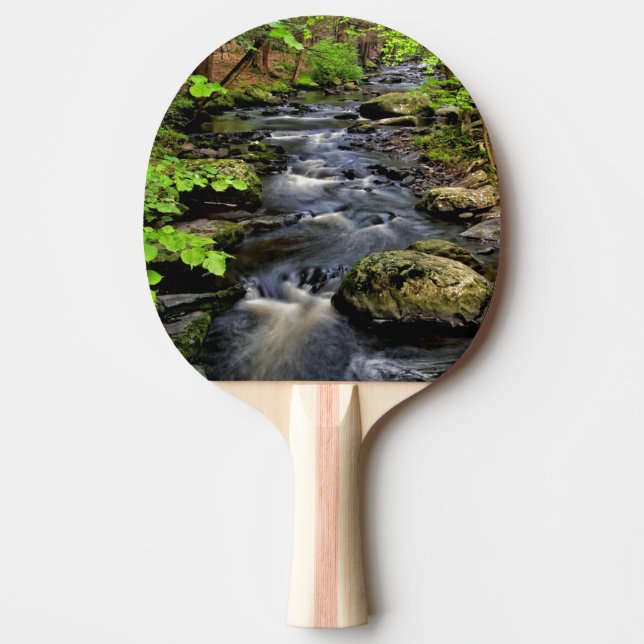 Raquete De Ping Pong Ribeiro flui através da floresta (Frente)