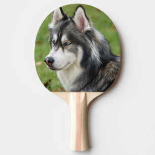 Raquete De Ping Pong Rouco