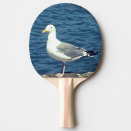 Raquete De Ping Pong Seagull No Compartimento