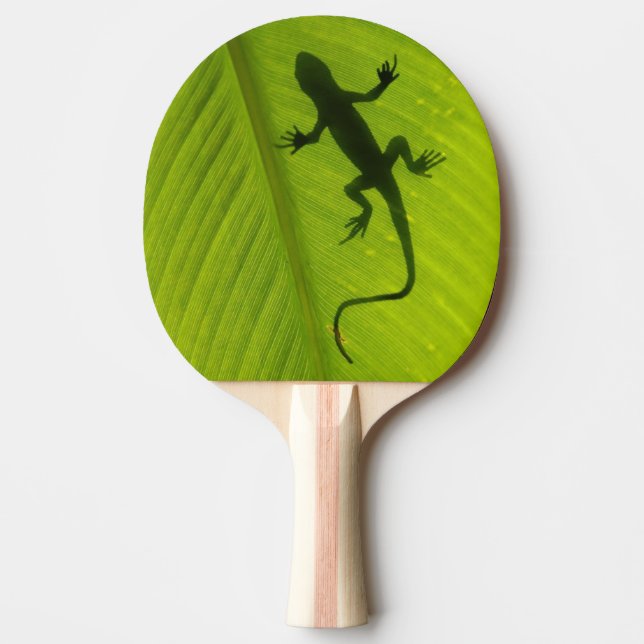 Raquete De Ping Pong Silhueta do geco (Frente)