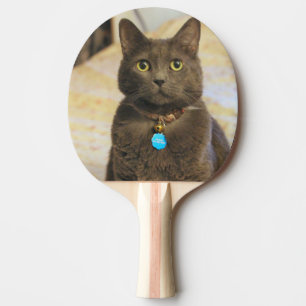 Raquete De Ping Pong Sinais