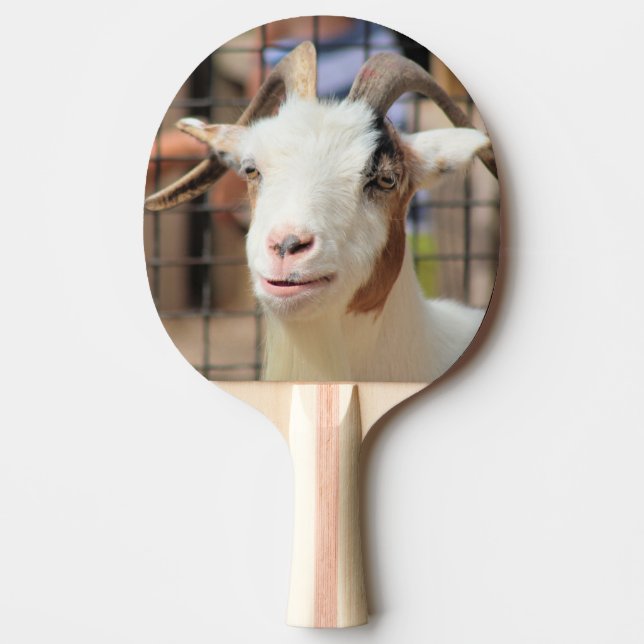 Raquete De Ping Pong Sua câmera parece saborosa (Frente)