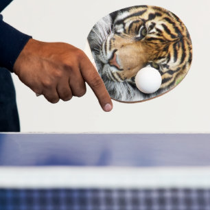 Raquete De Ping Pong Sumatran Tiger Wildlife Photo