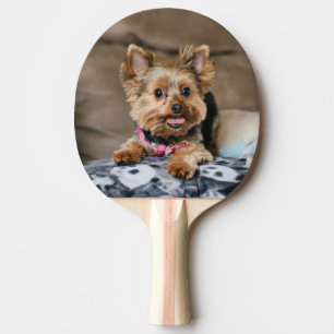 Raquete De Ping Pong Tiny Dynamo