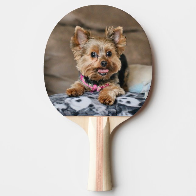 Raquete De Ping Pong Tiny Dynamo (Frente)