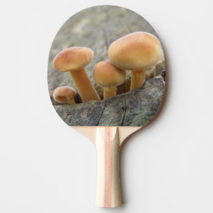 Raquete De Ping Pong Toadstools em um pino de pino do tronco de árvore