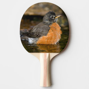 Raquete De Ping Pong Tordo-americano banhando-se 2