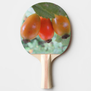Raquete De Ping Pong Três roseiras laranja