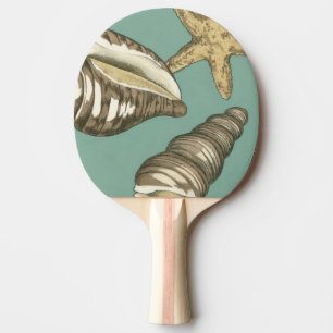Raquete De Ping Pong Trio de Shell Pequeno no Teal