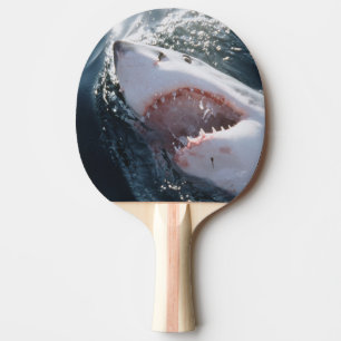 Raquete De Ping Pong Tubarão Branco no mar