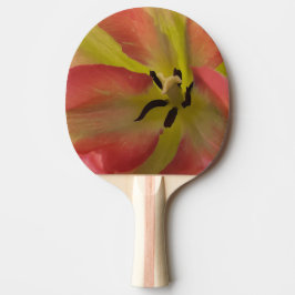 Raquete De Ping Pong Tulipa Rosa e Amarela