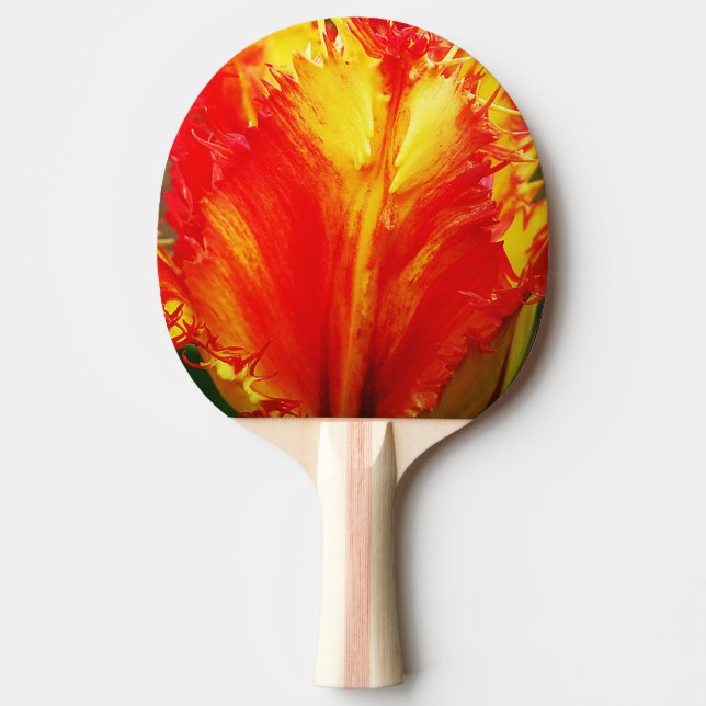 Raquete De Ping Pong Tulipa Vermelha E Amarelo (Frente)