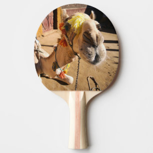 Raquete De Ping Pong Um camelo amigável espera seu próximo passageiro,