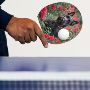 Raquete De Ping Pong "Uma Rosa vermelha para o Black Scottish Terrier"