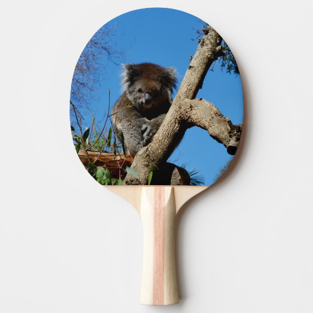 Raquete De Ping Pong Urso Koala Vigioso, (Frente)