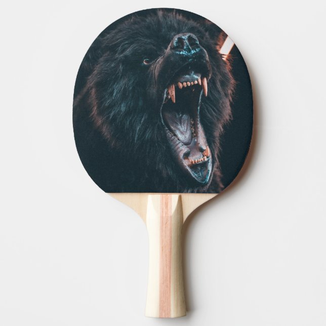 Raquete De Ping Pong Urso Negro Bravo Dente Urso Negro (Frente)