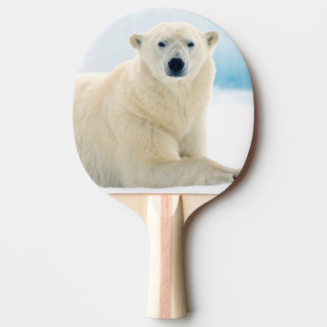 Raquete De Ping Pong Urso polar adulto grande javali no gelo de verão (Frente)