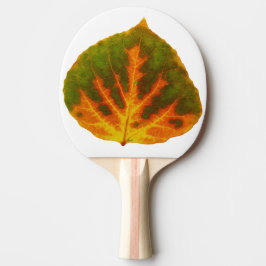 Raquete De Ping Pong Verde Laranja e Amarelo Aspen Folha #1