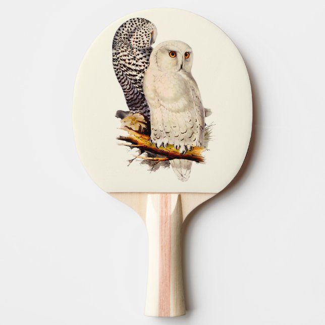 Raquete De Ping Pong Vintage Snowy Owl Drawing (Frente)