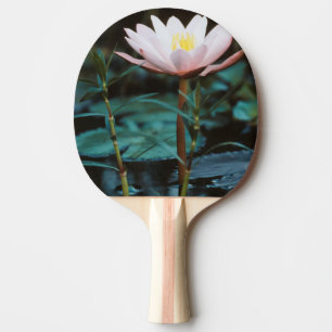 Raquete De Ping Pong Vista aproximada de lírio de água no lago Inle