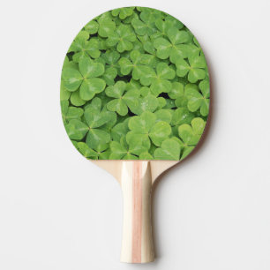 Raquete De Ping Pong Vista de folhagem de Oxalis Oregana Sorrel