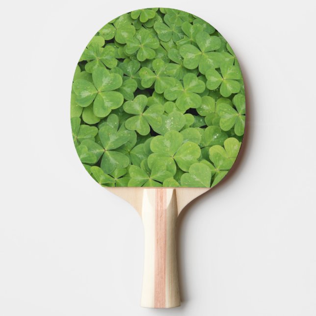 Raquete De Ping Pong Vista de Oxalis Orrel Foliage (Frente)