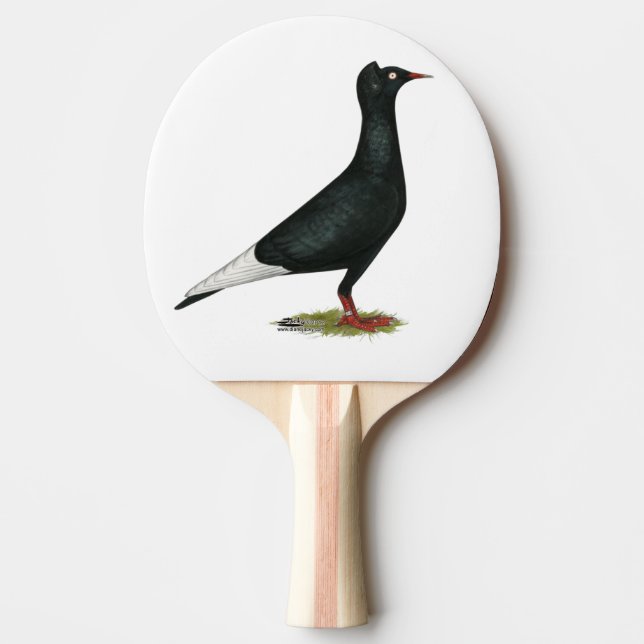 Raquete De Ping Pong Voo Voo Voo Negro Boné Pombo (Frente)