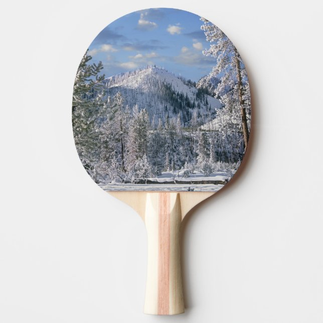 Raquete De Ping Pong Winter in Yellowstone National Park, Wyoming (Frente)