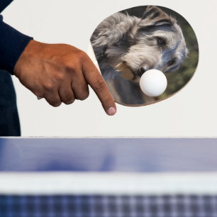 Raquete De Ping Pong Wolfhound Irlandês Não Estou Amado,
