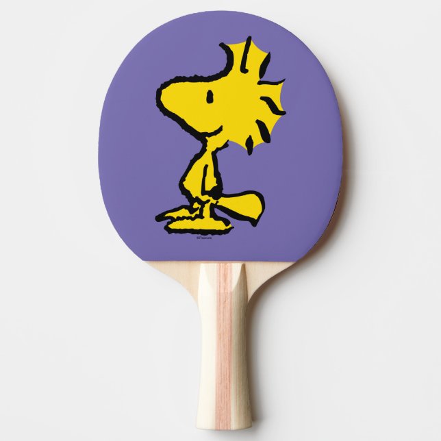 Raquete De Ping Pong Woodstock Classic Design (Frente)