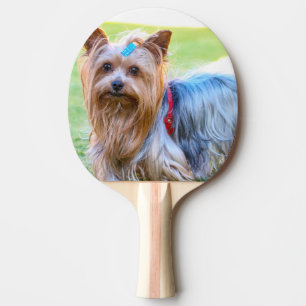 Raquete De Ping Pong Yorkshire Terrier Yorkie Breve favorita