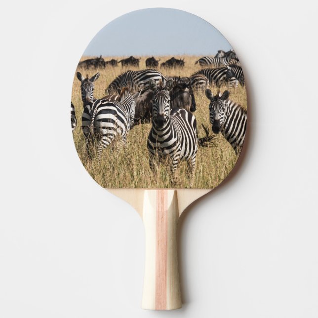Raquete De Ping Pong Zebra do Grant (Frente)