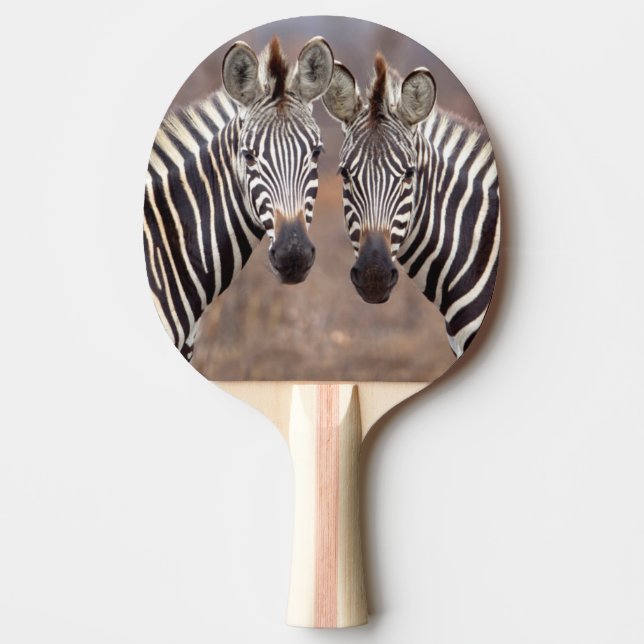 Raquete De Ping Pong Zebras-comuns, Parque Nacional Kruger (Frente)