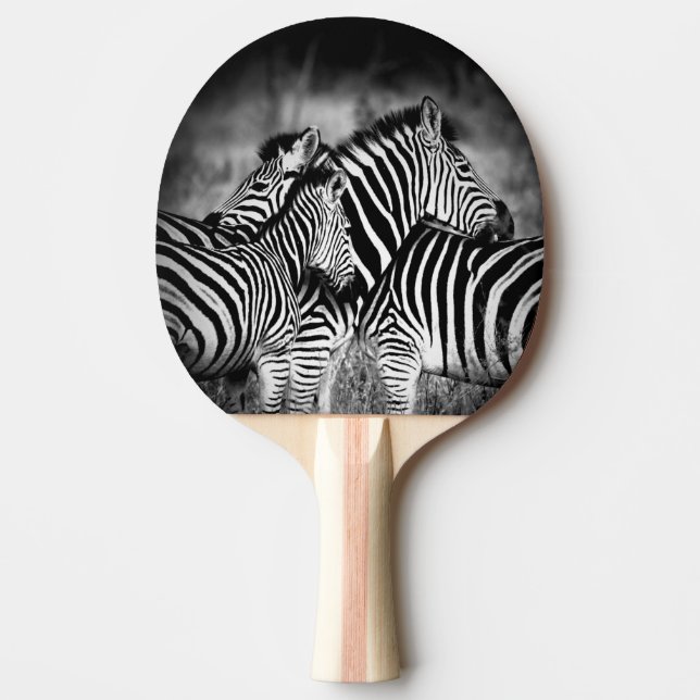 Raquete De Ping Pong Zelo de Zebra (Frente)