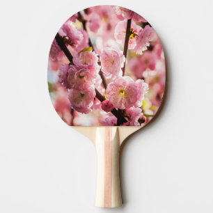 Raquete De Tênis De Mesa Ameixa de Flor - Paradize Rosa