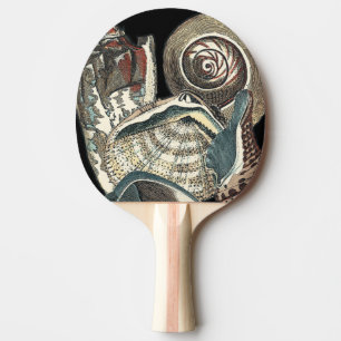 Raquete De Tênis De Mesa Anthologia Seashell