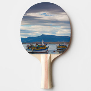 Raquete De Tênis De Mesa Barcos turísticos na baía do Seno Última Esperanza