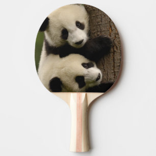 Raquete De Tênis De Mesa Bebês de panda gigante (Ailuropoda melanoleuca) 2