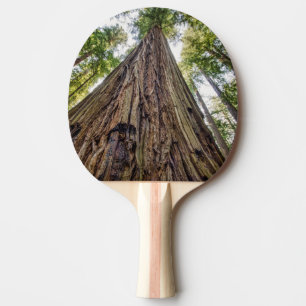 Raquete De Tênis De Mesa Bosque de Roosevelt