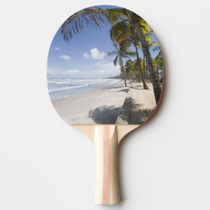 Raquete De Tênis De Mesa Caribe - Trinidad - Praia de Manzanilla ativada