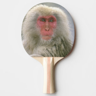 Raquete De Tênis De Mesa Casais de Macacos Neve, Macaco Japonês,