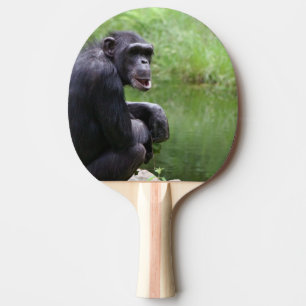 Raquete De Tênis De Mesa Chimpanzé parvo