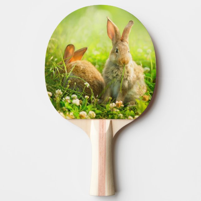 Raquete De Tênis De Mesa Coelhos da páscoa (Frente)