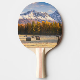 Raquete De Tênis De Mesa Cultivo de Alaska