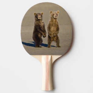 Raquete De Tênis De Mesa EUA. Alasca. Filhotes de urso marrom costeiro