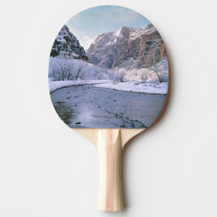Raquete De Tênis De Mesa EUA, Utah, Zion NP. Neve fresca cobre o canyon