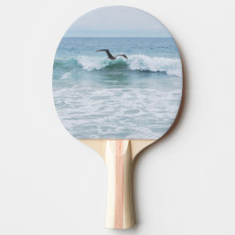 Raquete De Tênis De Mesa Gaivota na Praia na Califórnia