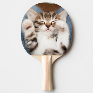 Raquete De Tênis De Mesa Gatinho em meu regaço
