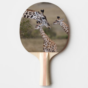 Raquete De Tênis De Mesa Girafa Masai (Giraffe Tippelskirchi)