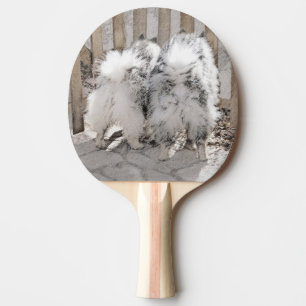 Raquete De Tênis De Mesa Keeshonds na Pintura de Portão - Arte de Cachorro